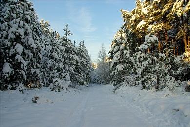 黑暗冒险《戈德》：全新DLC“联盟”将于2月28日登陆